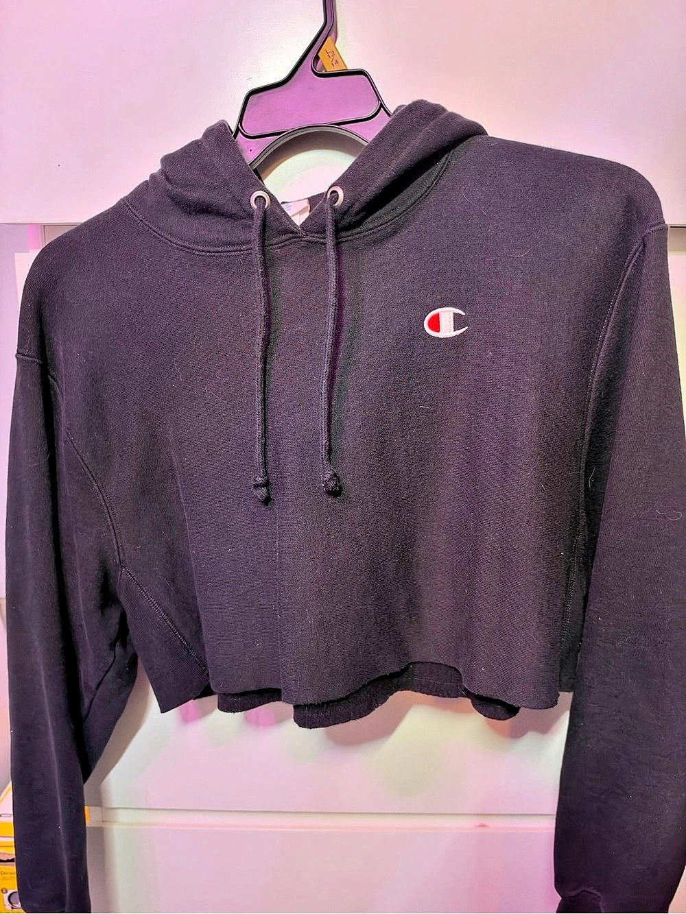 Champion Reverse Weave Cropped Hoodie